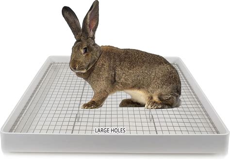 rabbit potty box made of metal|Metal Rabbit Litter Box .